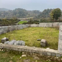 فروش فوری زمین ویو جنگل خیابان شعبانی