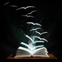 داوطلبانه|فعالیت داوطلبانه تحقیقاتی|اهواز, اهواز|دیوار