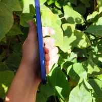 A25سامسونگ  حافظه256|موبایل|اهواز, شهرک پیام|دیوار