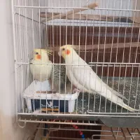 نداشتن جا