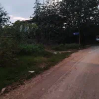 فروش ۵۲۰ متر زمین مسکونی دریاسر|فروش زمین و ملک کلنگی|شلمان, |دیوار