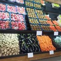 فروش پالت میوه