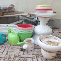 گلدان|گل و گیاه طبیعی|قشم, |دیوار