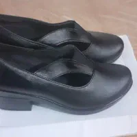 کفش زنانه|کیف، کفش، کمربند|قم, ارم|دیوار