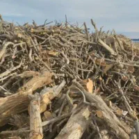 خریدار چوب میوه|خدمات باغبانی و درختکاری|تاکستان, |دیوار