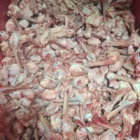 بچه فیله      اسکلت قلم کمر قفسه.      پا مرغ|عمدهفروشی|پردیس, شهرک صنعتی خرمدشت فاز ۷|دیوار