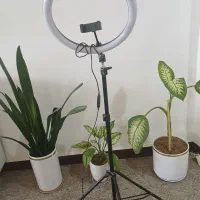 رینگ لایت درحد نو