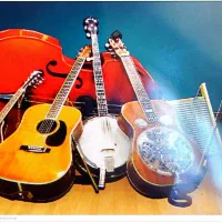 اموزش تمام سازهای موسیقی