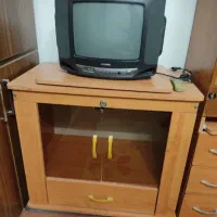 تلویزیون|تلویزیون و پروژکتور|گنبد کاووس, |دیوار