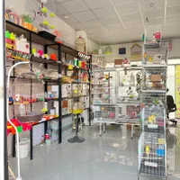 پرنده سرای سیستان|پرنده|گلبهار, شهر جدید گلبهار|دیوار