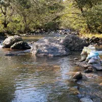 زمین کشاورزی ۸۶۰۰ متری|فروش دفتر صنعتی، کشاورزی، تجاری|اطاقور, |دیوار