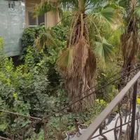 اجاره روزانه/هفتگی ویلا(اجاره کوتاه مدت)|اجارهٔ کوتاهمدت ویلا و باغ|گرگان, |دیوار