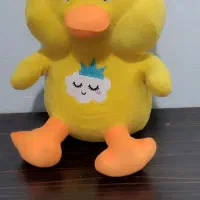 جوجه اردک