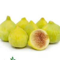 پیش‌فروش نهال انجیر عسلی شناسه دار|خدمات باغبانی و درختکاری|آبیک, |دیوار