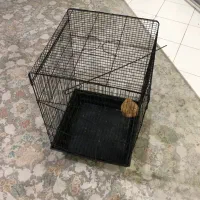 قفس مشکی،عروس هلندی،طوطی و..