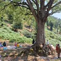تور یکروزه گیلانگردی شنا و آب بازی