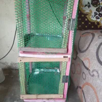 جفتگاه کبوتر