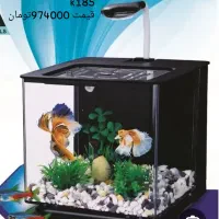 انواع آکواریوم شرکتی دلسا به قیمت کارخانه