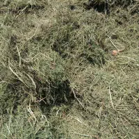 شاهتره