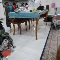 فروش لوازم خانه مبل میز تلوزیون فرش سرویس خواب