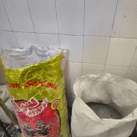 پودر شاخ|خدمات باغبانی و درختکاری|فلاورجان, |دیوار