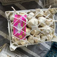 سیر خشک بسته بندی|خوردنی و آشامیدنی|تهران, امیریه|دیوار