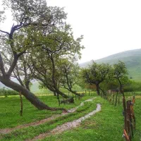 کارگر تمام وقت دامداری و کشاورزی همراه خانواده