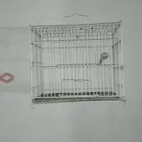 قفس سهره قرص و محکم