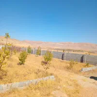 باغ ۱۱۰۰ متری با ۵۰ عدد درخت|فروش زمین و ملک کلنگی|شیراز, کودیان|دیوار