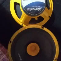 میدرنج ۸ اینچ