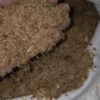 نان خشک و ته دیگ  خرد شده