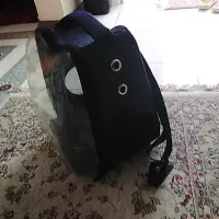 میکس اشپیتز و پامر