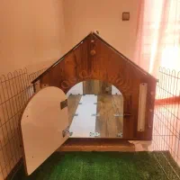 خانه پت|لوازم جانبی حیوانات|گرمدره, |دیوار