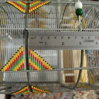 قفس|لوازم جانبی حیوانات|شیراز, رکن‌آباد|دیوار