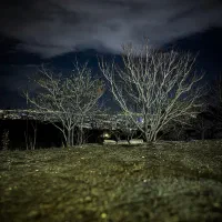 کشاورز زمین باغی