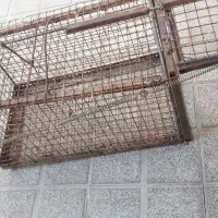 تله گربه