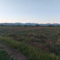 زمین-مزروعی