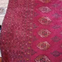 گلیم|گلیم، جاجیم، گبه|بهارستان, |دیوار