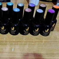 وسایل ناخن تکمیل|آرایشی، بهداشتی، درمانی|سنندج, |دیوار