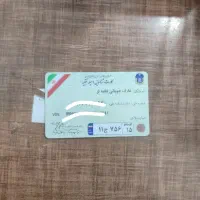 کیف حاوی مدارک گم شده است