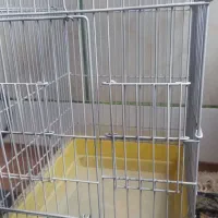 قفس پرنده