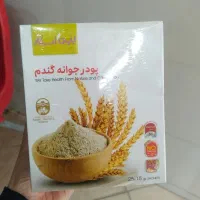 جوانه گندم