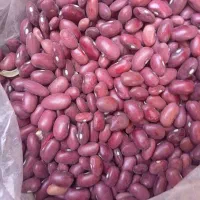 فروش ۸۰۰ کیلو لوبیا قرمز بزر