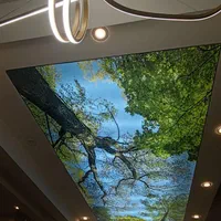 طراحی واجرای سقف کشسان وسقف کهکشانی|خدمات پیشه و مهارت|خرمآباد, |دیوار