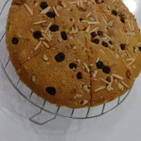 سفارش کیک خانگی|خوردنی و آشامیدنی|تربتحیدریه, جانبازان|دیوار