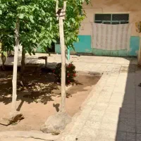 رهن و اجاره خانه ویلایی|اجارهٔ خانه و ویلا|بهمن صغاد, |دیوار