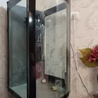 آکواریوم|ماهی|سبزوار, توحیدشهر|دیوار