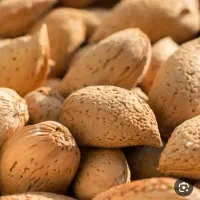 خریدو فروش بادام