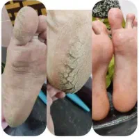 اسپای پا دریک جلسه