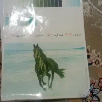 تابلو فرش بسیار زیبا|تابلو فرش|شیروان (خراسان), |دیوار